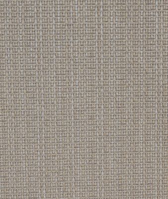 Candor Cornsilk