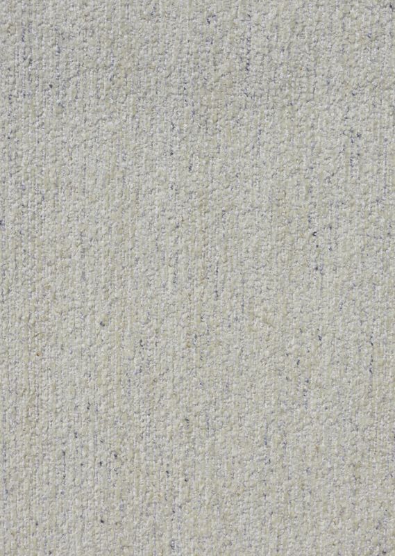 Salome Sand Dollar