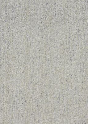 Salome Sand Dollar