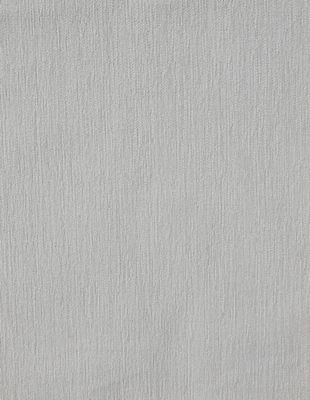 Whippet Canvas