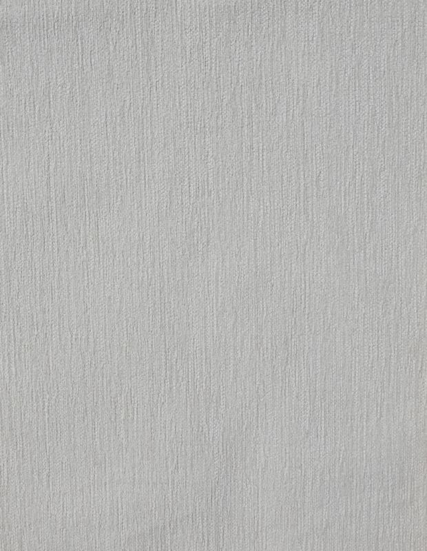 Whippet Canvas