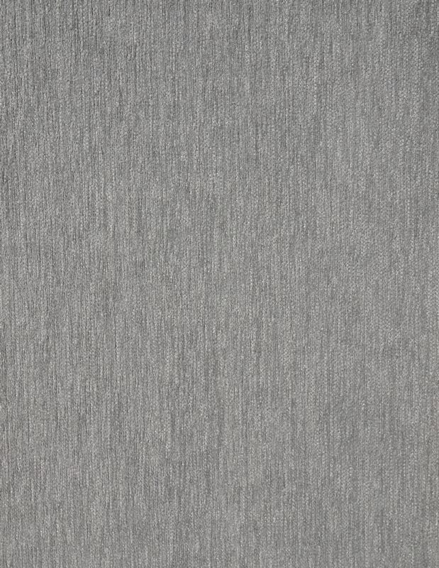 Whippet Grey