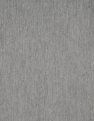 Whippet Grey